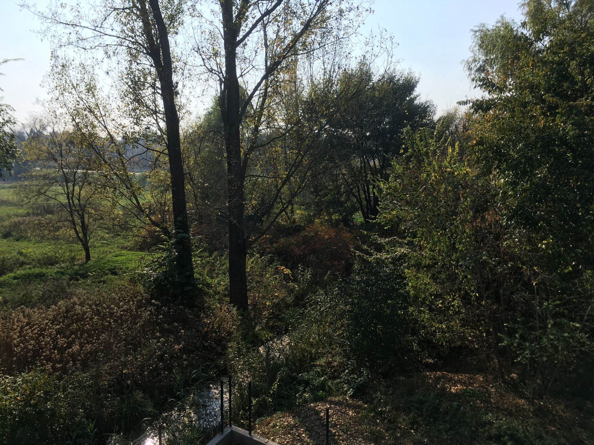 Thermal Forest Apartment – Kiskunhalas fotó 26