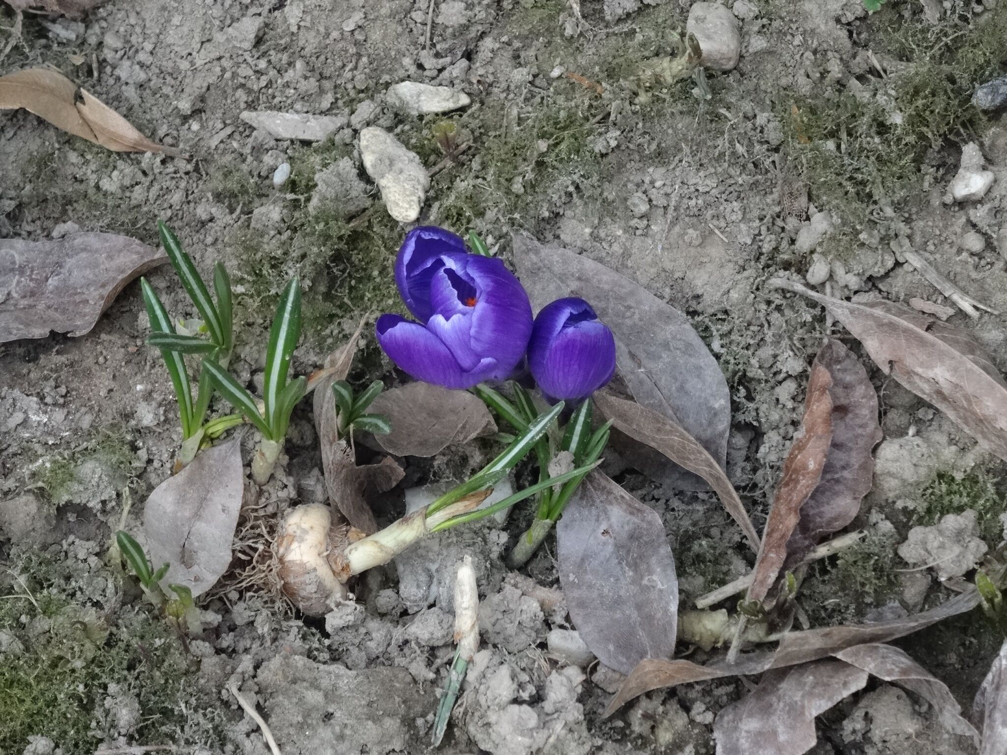 Hétkutas Vendégház – Kerkakutas fotó 3