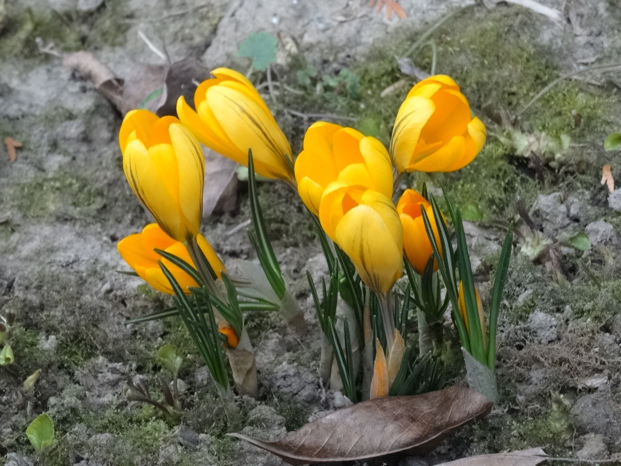 Hétkutas Vendégház – Kerkakutas fotó 4