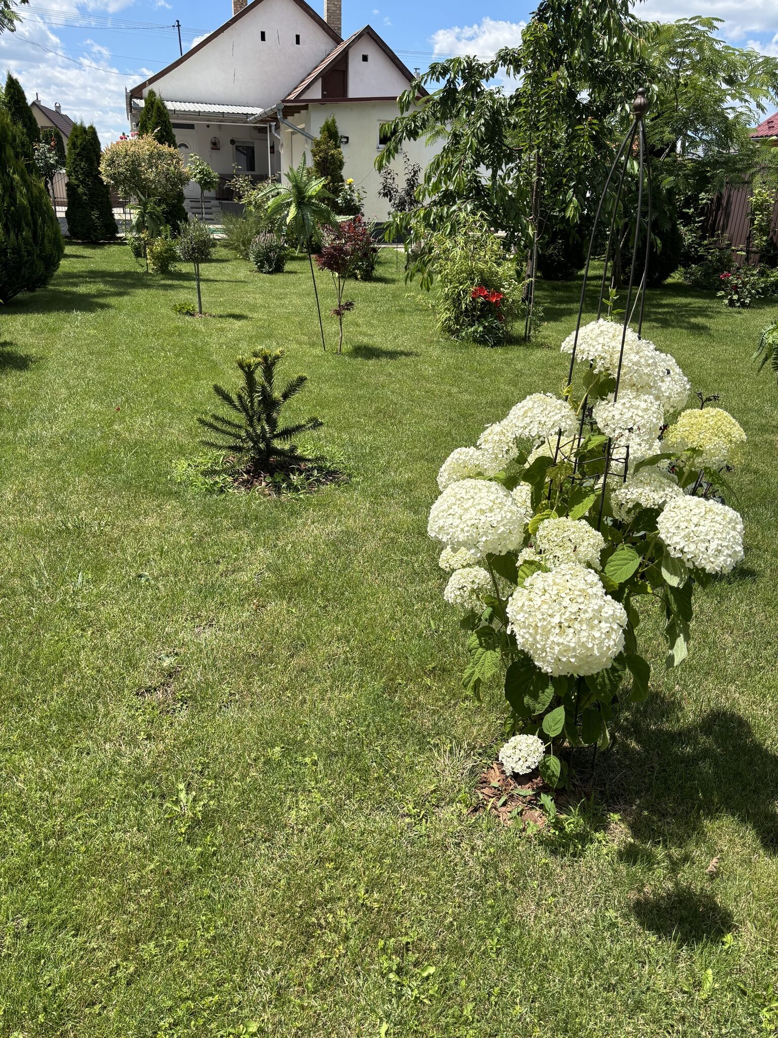CAFE VYA Apartman – Kisvárda fotó 14