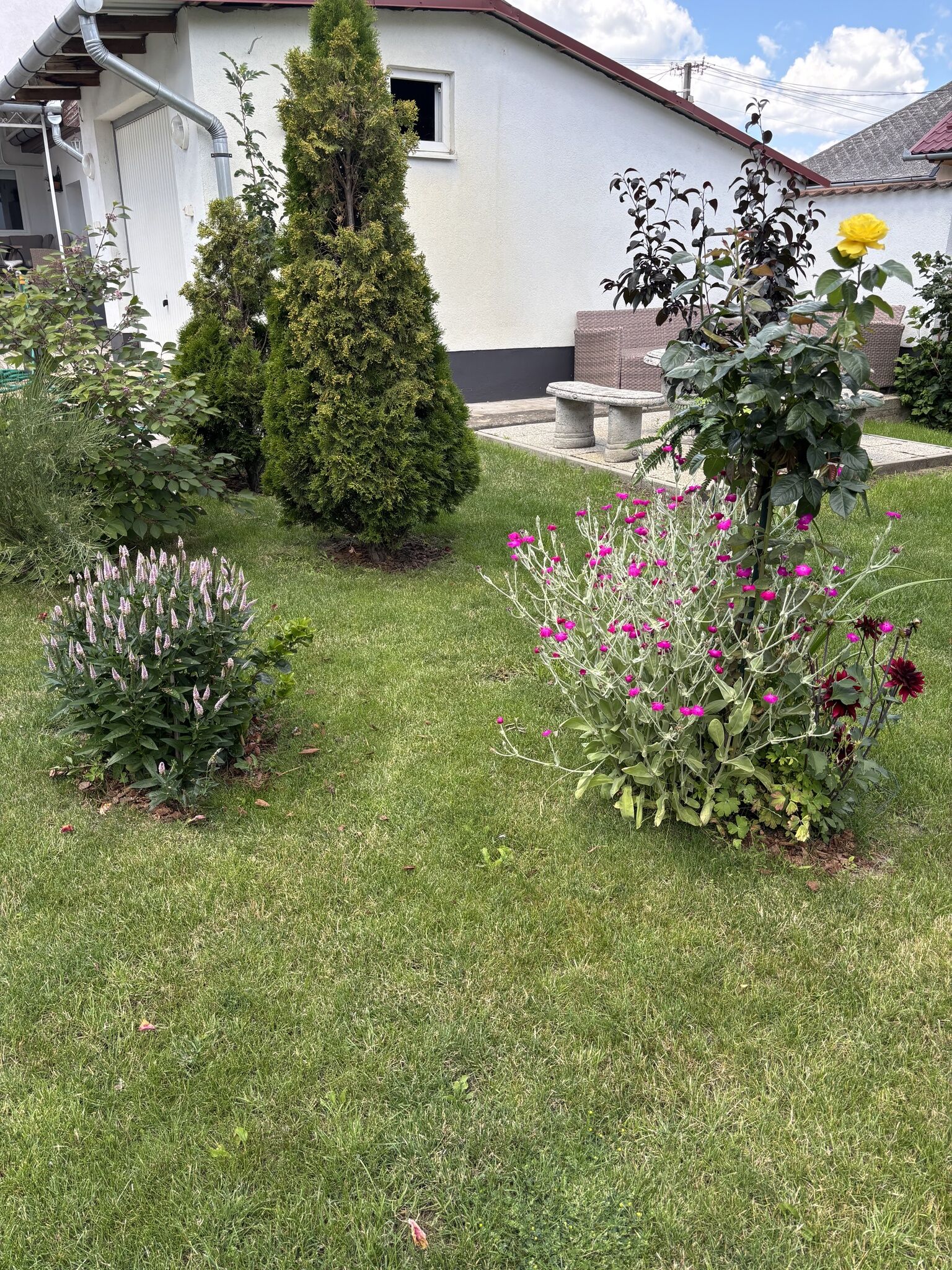 CAFE VYA Apartman – Kisvárda fotó 16
