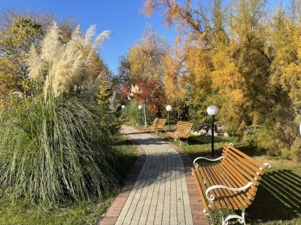 Termál Hotel Pávai Gyógyszálló ***14