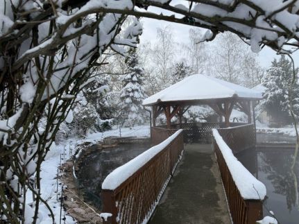 Termál Hotel Pávai Gyógyszálló ***17