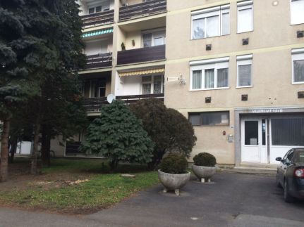 Liliom apartman13