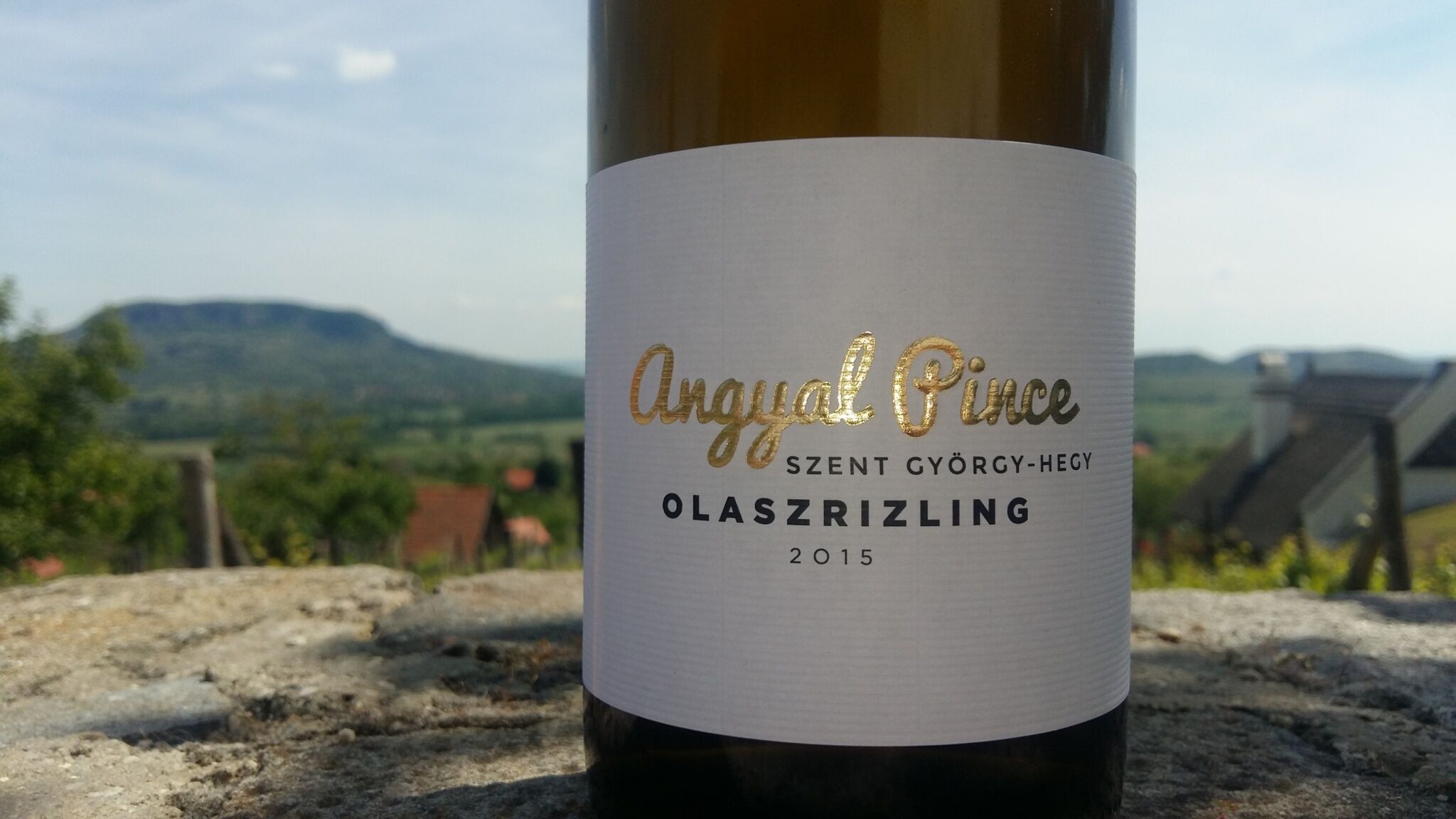 Hajagos Udvarház – Tapolca fotó 27
