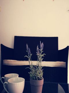 Várkert Apartman Duplex7