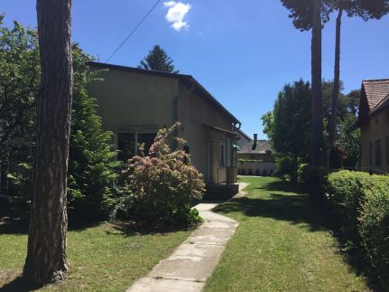 Franci Apartman3