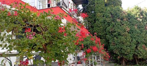 Park Terasz Apartman14