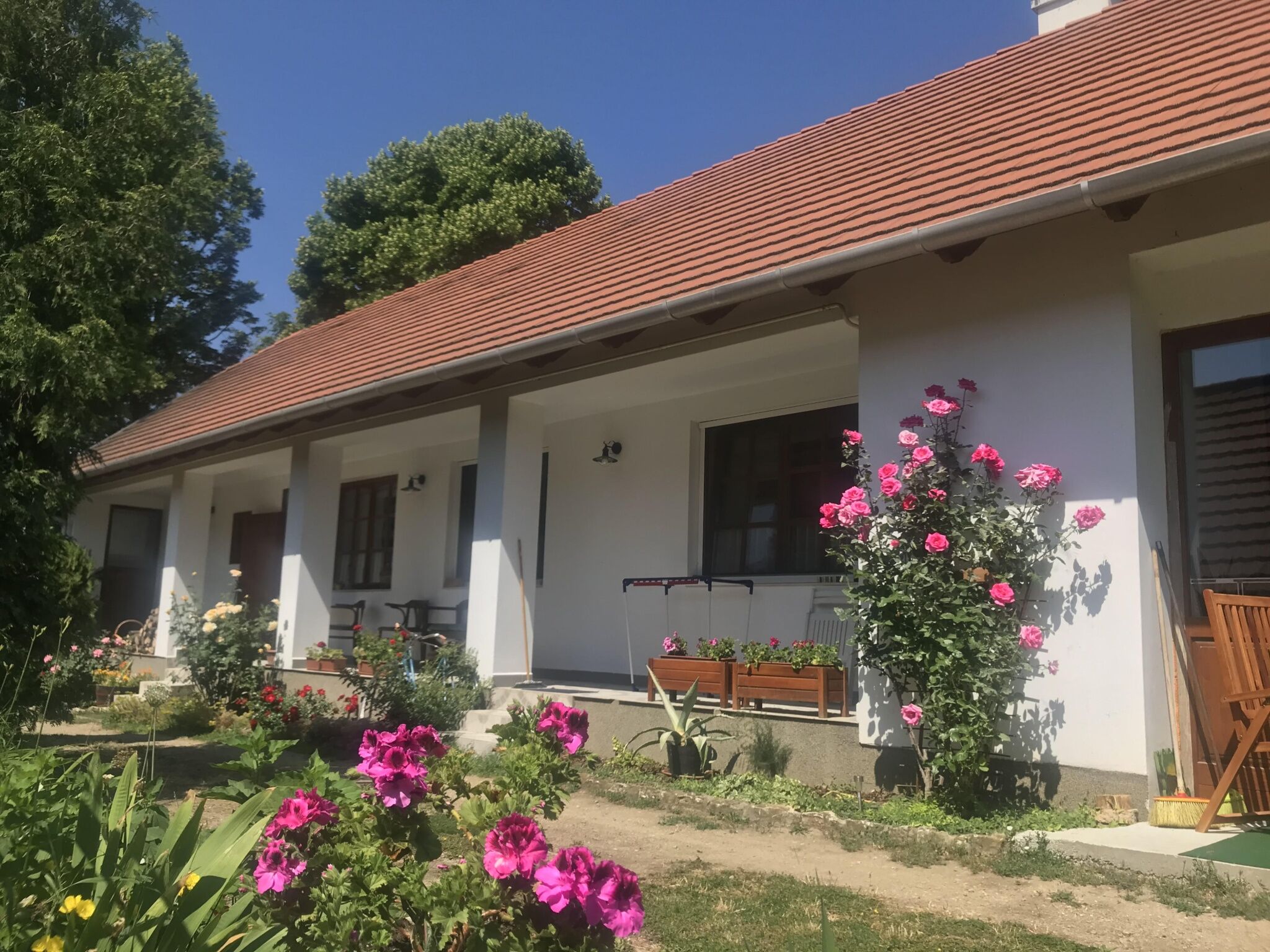 Bakonyi Vadász Háza – Bakonykúti fotó 18