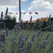 Nyugalom és Titkok Szigete Apartman
