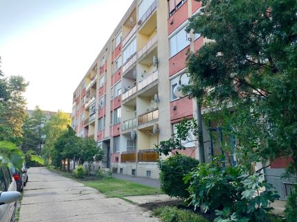 Anita Apartman Szilfákalja3