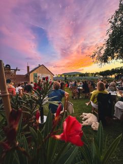Sipos Borház & Vendégház4