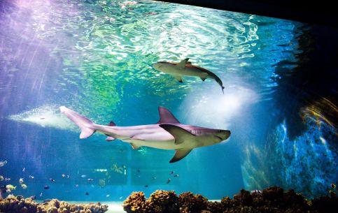 Tiszalöki Apartmanház35