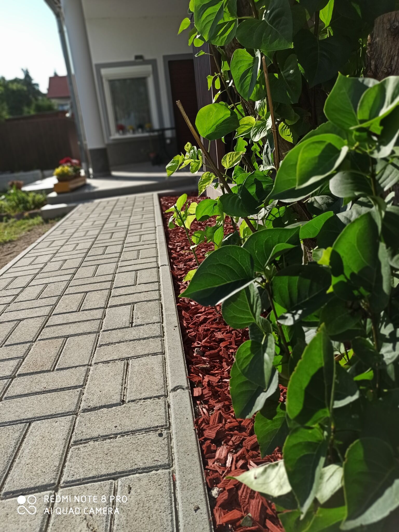 Mandorla Apartman – Balatonalmádi fotó 33