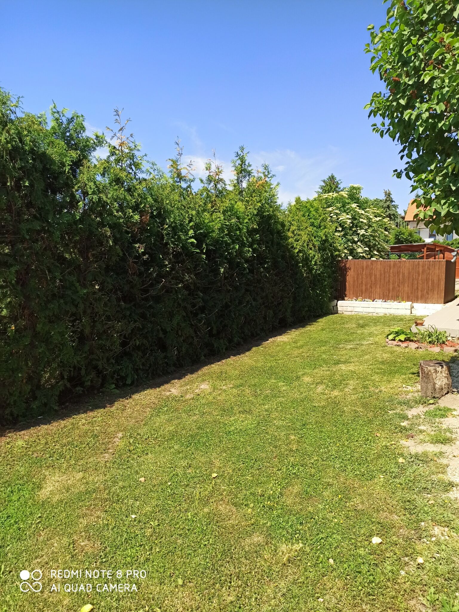 Mandorla Apartman – Balatonalmádi fotó 20
