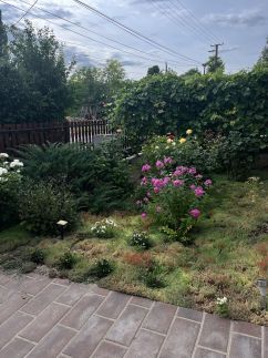 Szép Apartman – Tamási fotó 32