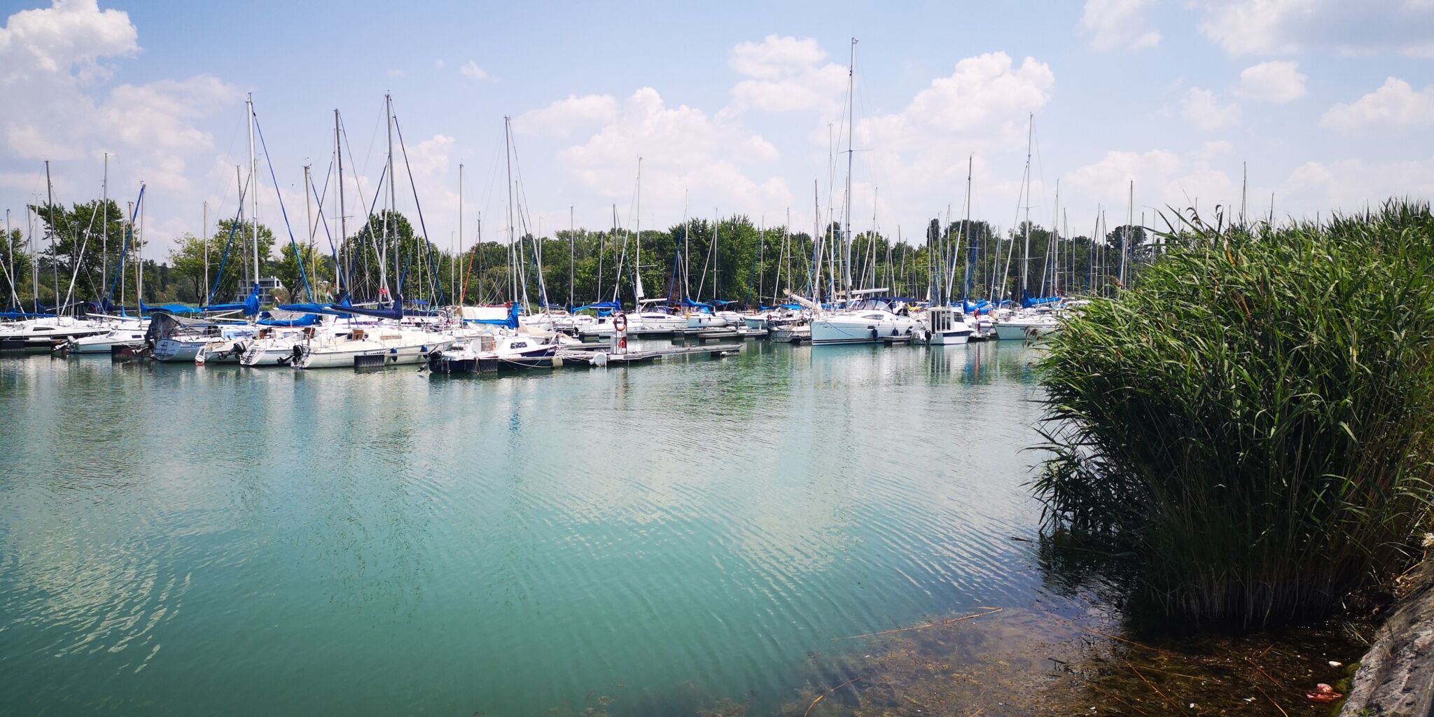 Szemes Marina – Balatonszemes fotó 45