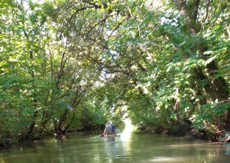 Tisza-tavi Amúrlak3