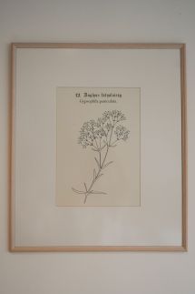 Erhardt Panzió Sopron20