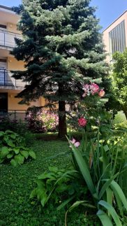 Farda Apartman22