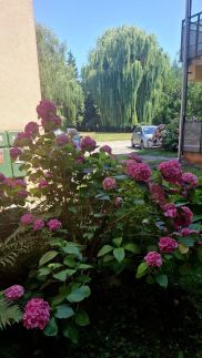 Farda Apartman24