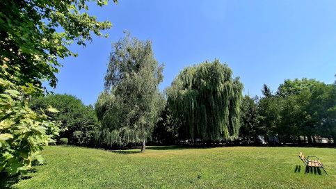 Farda Apartman25
