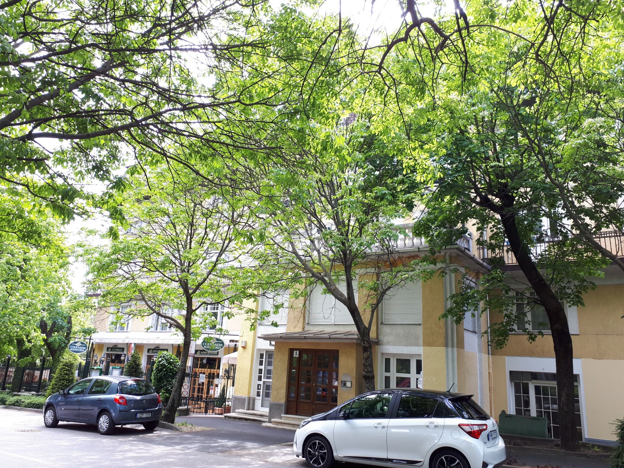 Aranycsillag Green Apartman – Balatonfüred fotó 4