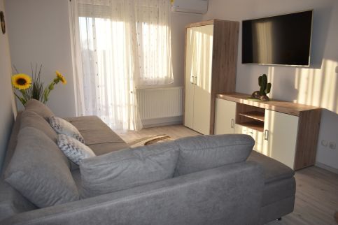 Kaktusz Apartman22