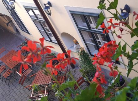 Hotel Wollner Sopron31