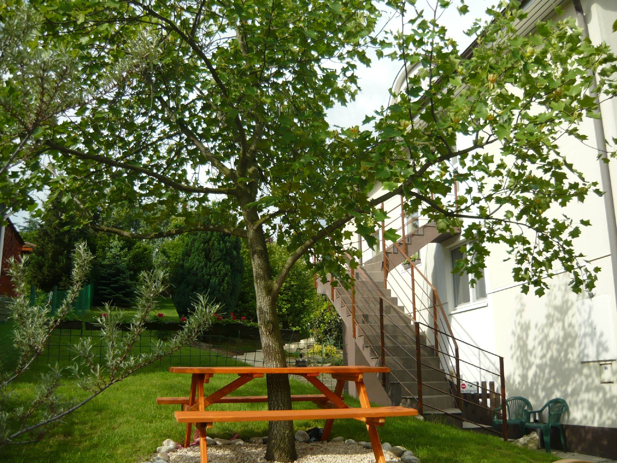 AlsóLővér Apartman Sopron – Sopron fotó 2