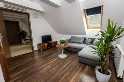 Vinosseum Bor- És Apartmanház Sopron12