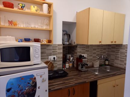 Esőerdő Apartman10