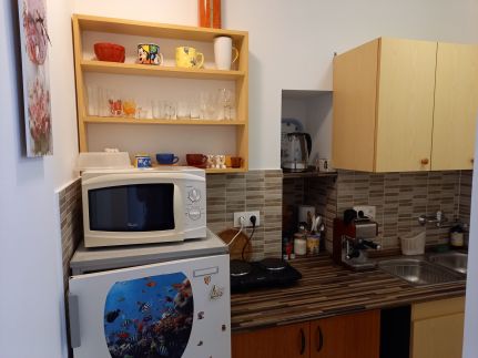 Esőerdő Apartman11