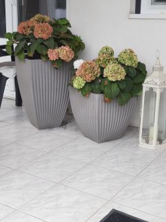 Sarkcsillag Vendégház17