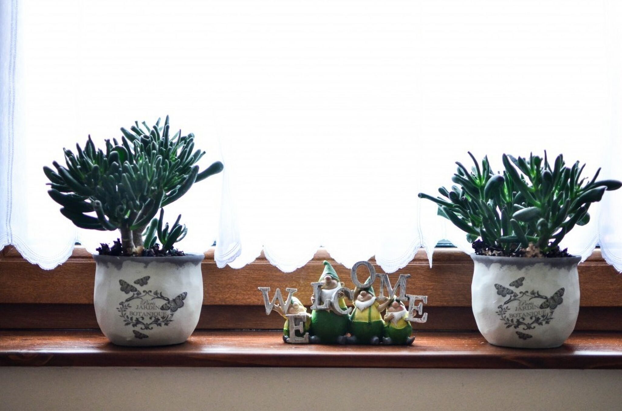 Páva Apartmanház – Makó fotó 9
