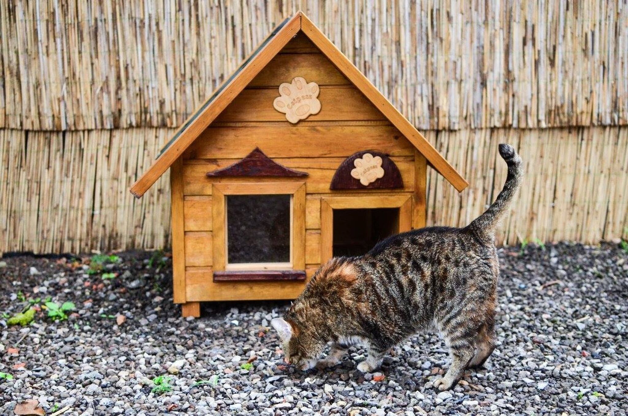 Páva Apartmanház – Makó fotó 16