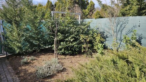 Napház II. Apartman3