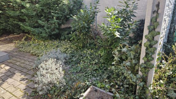 Napház II. Apartman