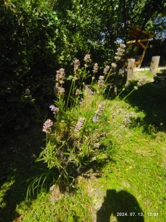 Vár-Liget Vendégház207