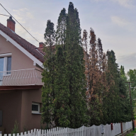 Léna Apartman