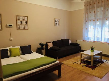 Lizi Apartman21