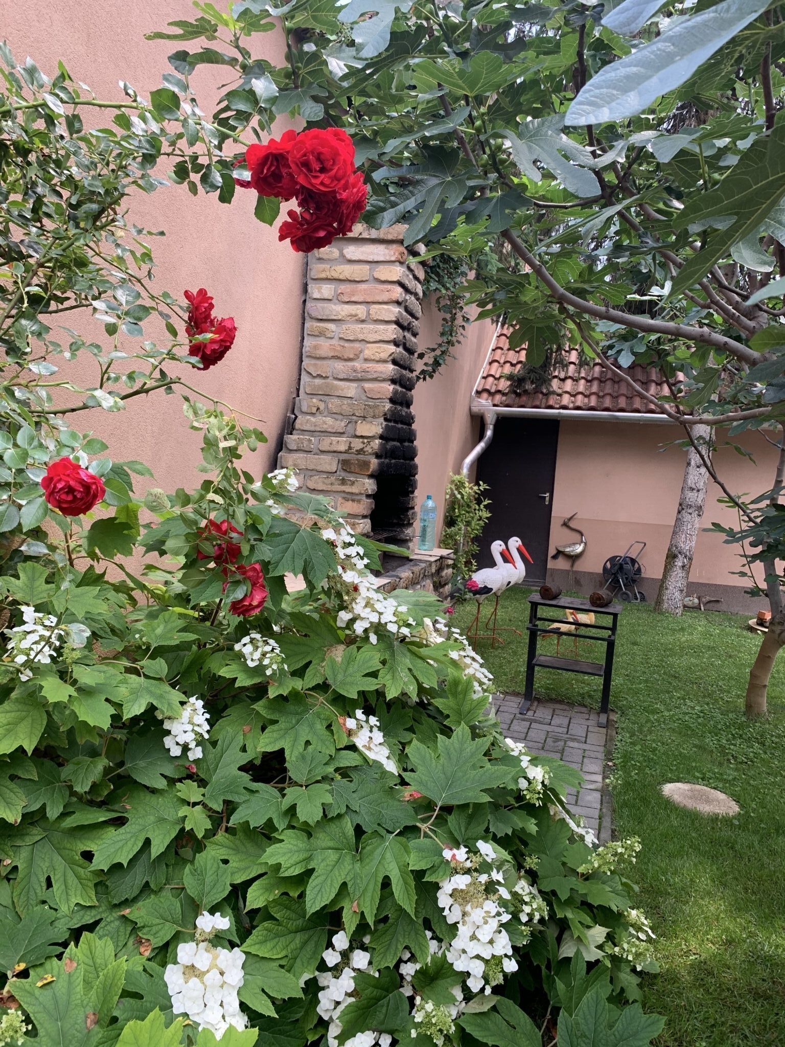 Gyöngy-Virág Vendégház – Szeged fotó 22