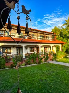 Borka Villa12