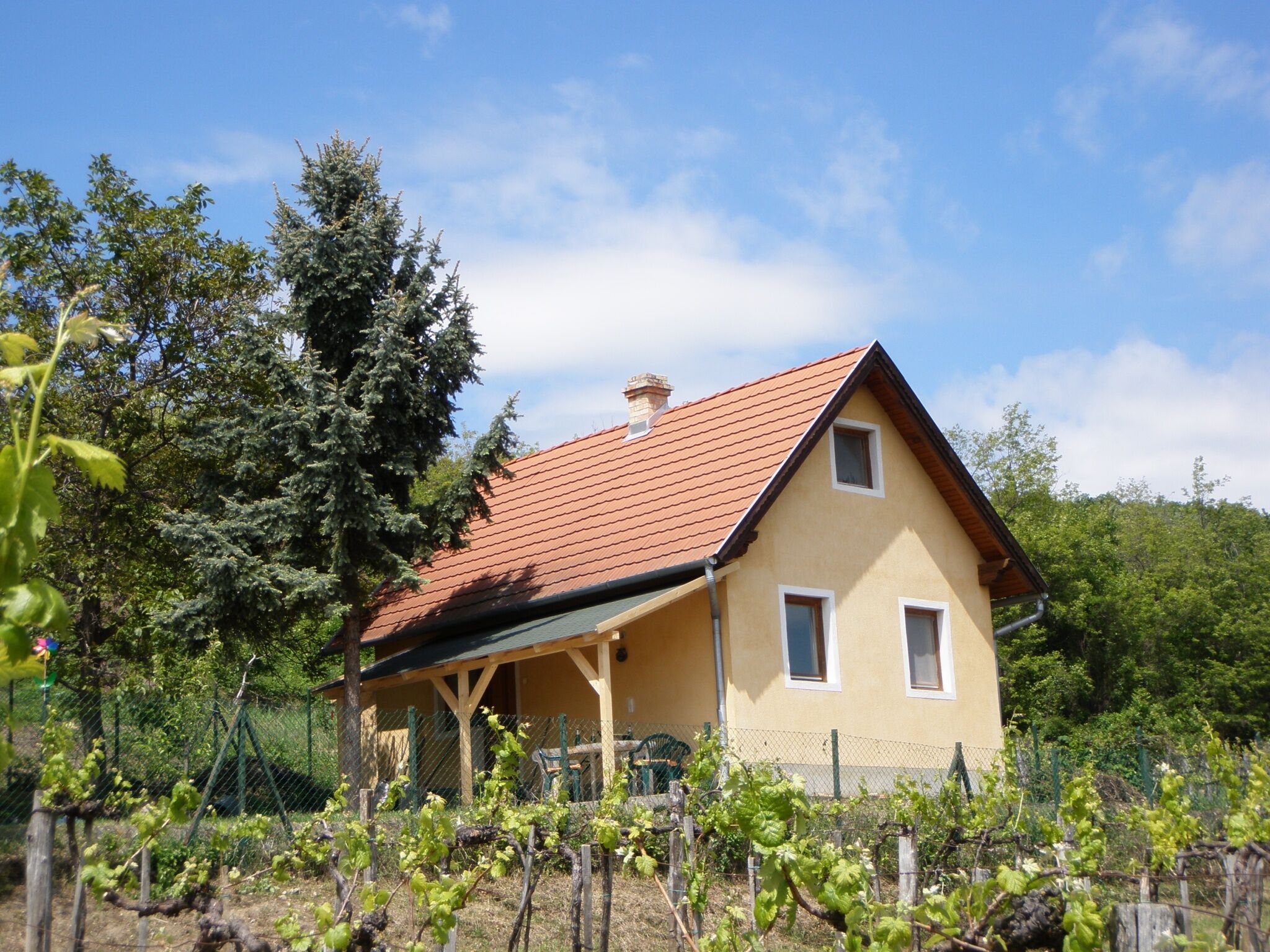 Panorámás Nyaralóház – Balatonszepezd fotó 31