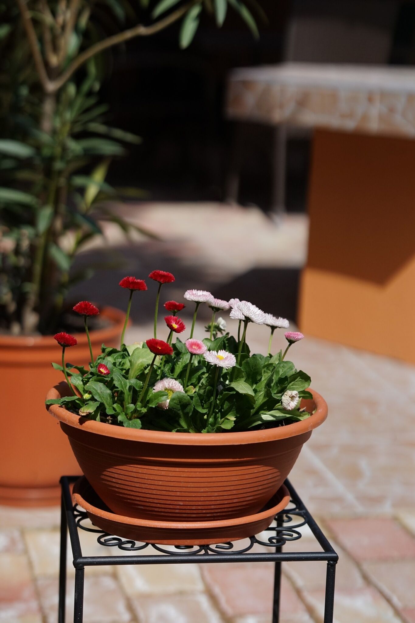 Beba Apartmanok 2. – Mezőkövesd fotó 1