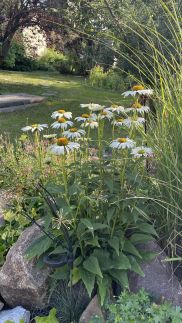 Tölgyfa Vendégház21