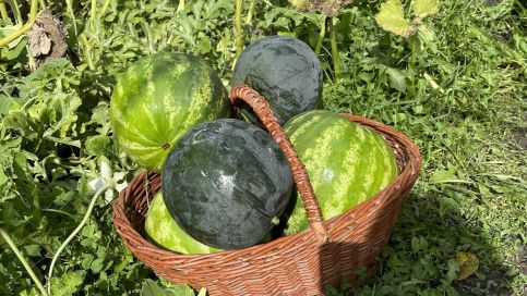 Tölgyfa Vendégház34