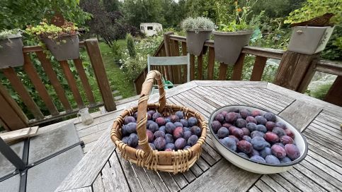 Tölgyfa Vendégház35