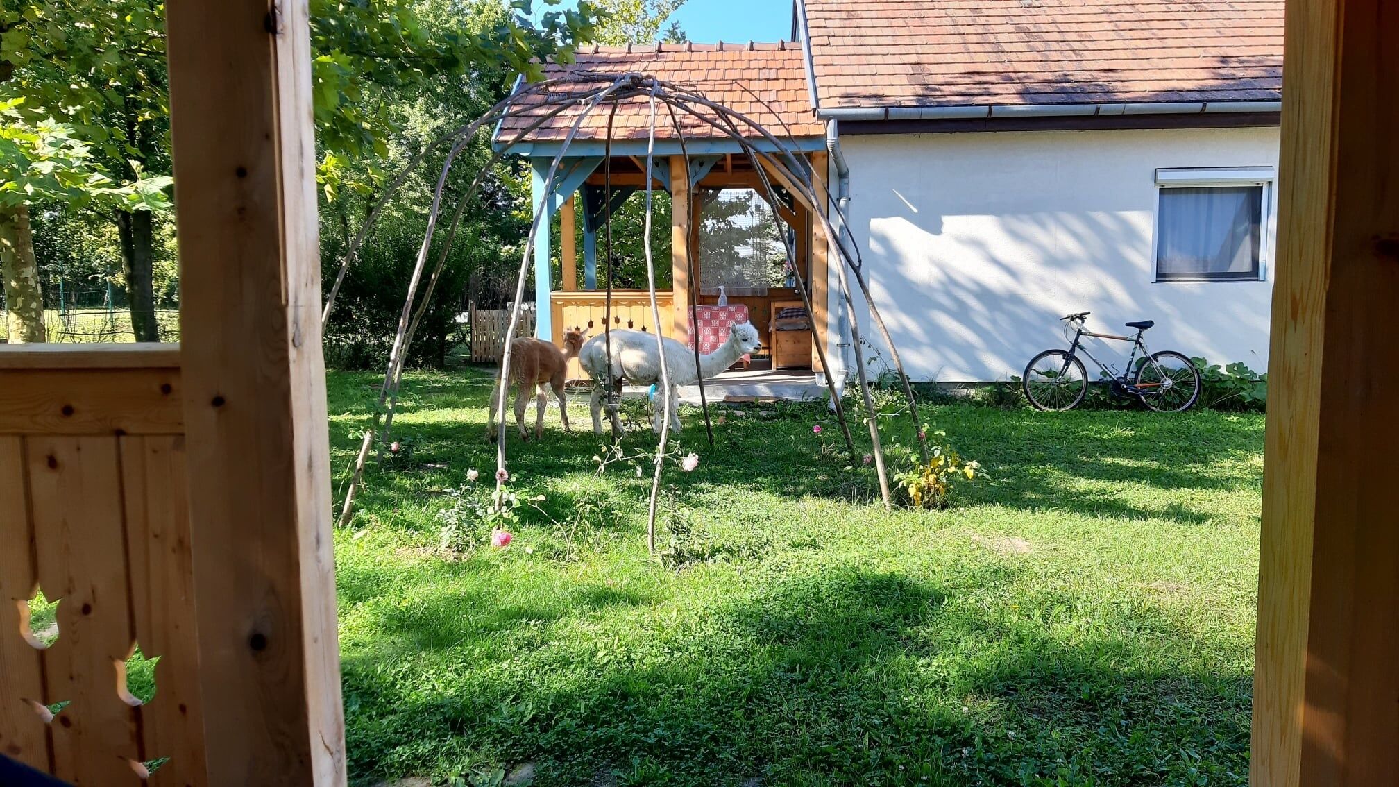 Alpaka Apartman – Káptalantóti fotó 8