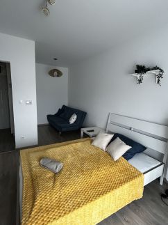 Baross Boutique Apartman Győr9